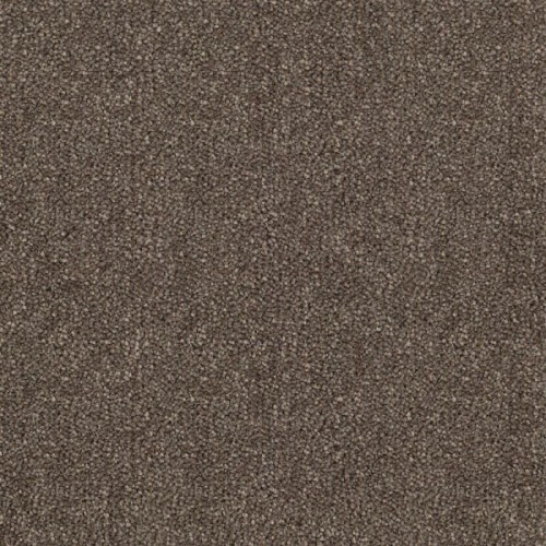 Ковровое покрытие Sintelon Dragon 31431